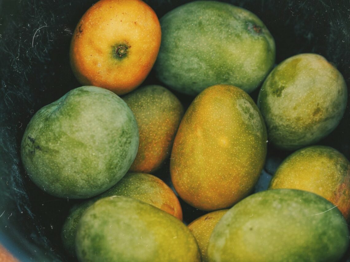 Proprietà del mango
