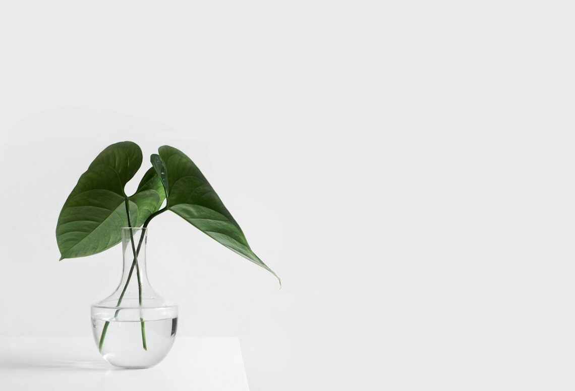 Regolamento sull'Ecodesign