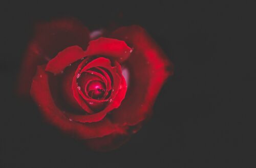 Trigger positivi: come attivare il benessere emotivo