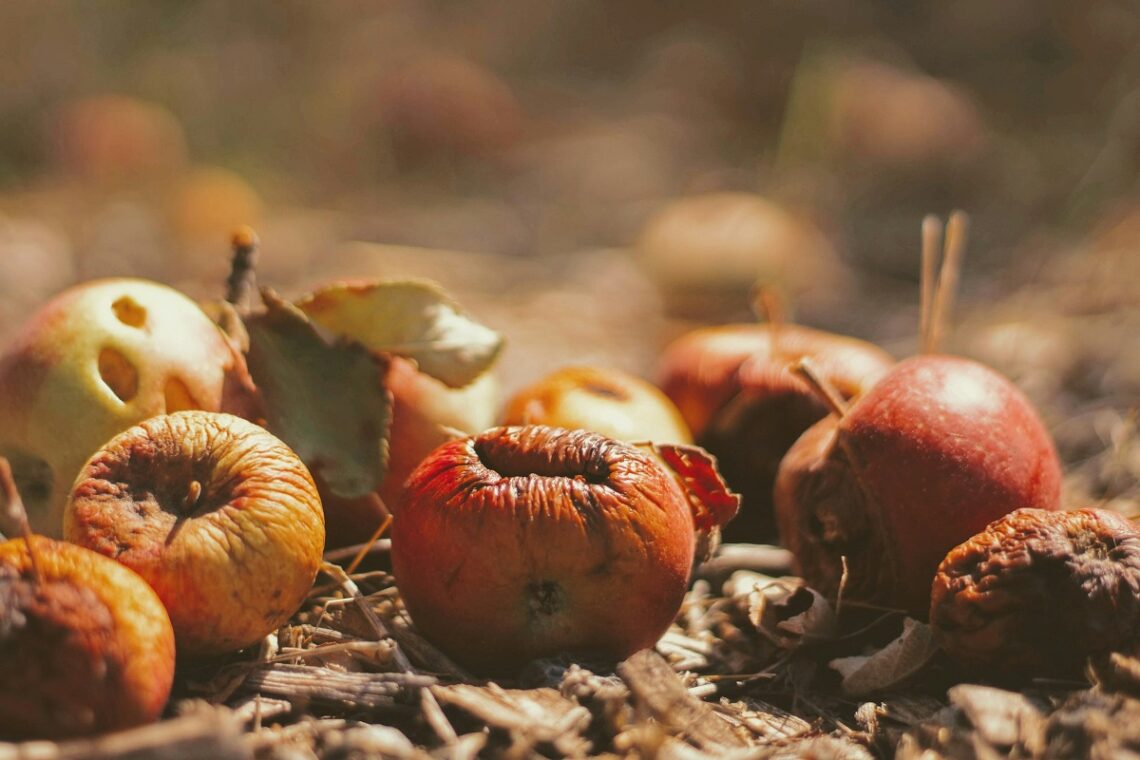 Come ridurre lo spreco alimentare in casa