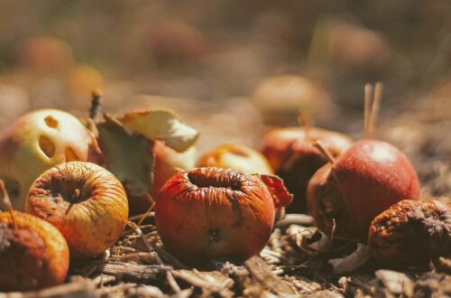 Come ridurre lo spreco alimentare in casa