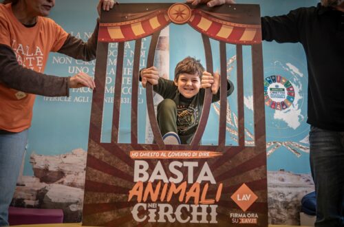 LAV: anche i bambini dicono “Basta animali nei circhi!”