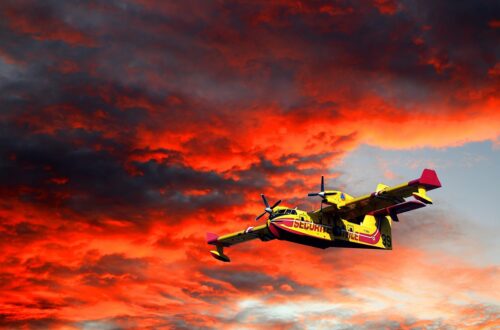 Incendi boschivi in Israele: partiti due Canadair dall'Italia