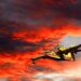 Incendi boschivi in Israele: partiti due Canadair dall'Italia