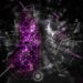Come proteggere la privacy nel mondo digitale?