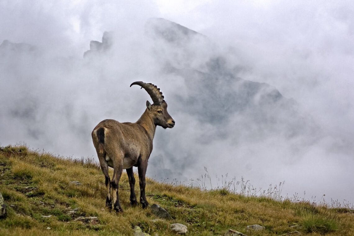 Giornata Europea dei Parchi