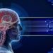 Come funziona il cervello umano?