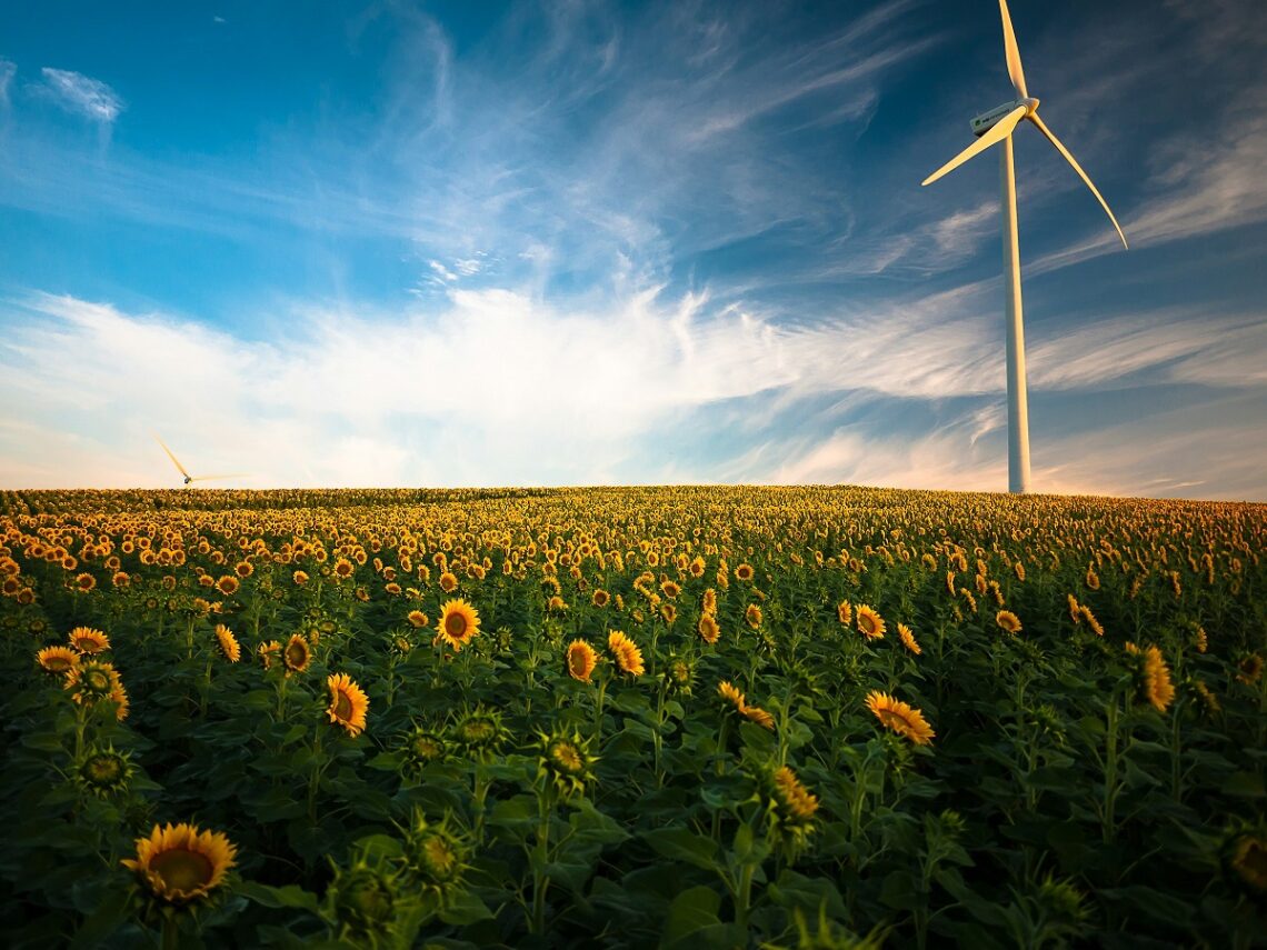 Progetti rigenerativi: Il Project Management al servizio della transizione ecologica