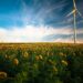 Progetti rigenerativi: Il Project Management al servizio della transizione ecologica