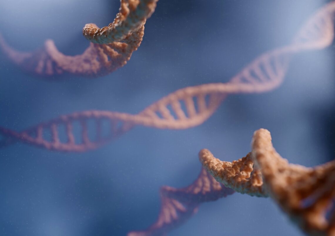 Che cos’è l’epigenetica