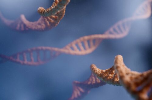 Che cos’è l’epigenetica