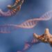Che cos’è l’epigenetica