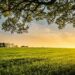 Cosa significa vivere in modo rigenerativo