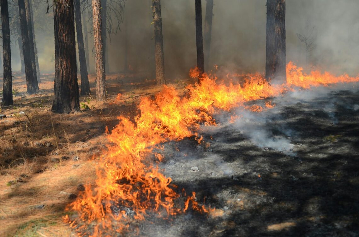 Italia e Francia unite contro gli incendi boschivi