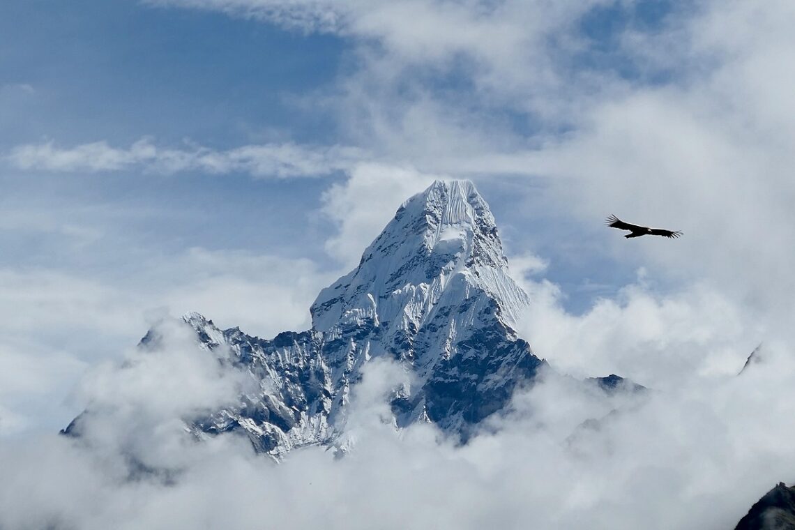 Come sopravvivono gli alpinisti in condizioni estreme?