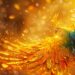 Il cammino delle Fiamme Gemelle