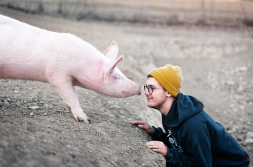 Parlare con gli animali
