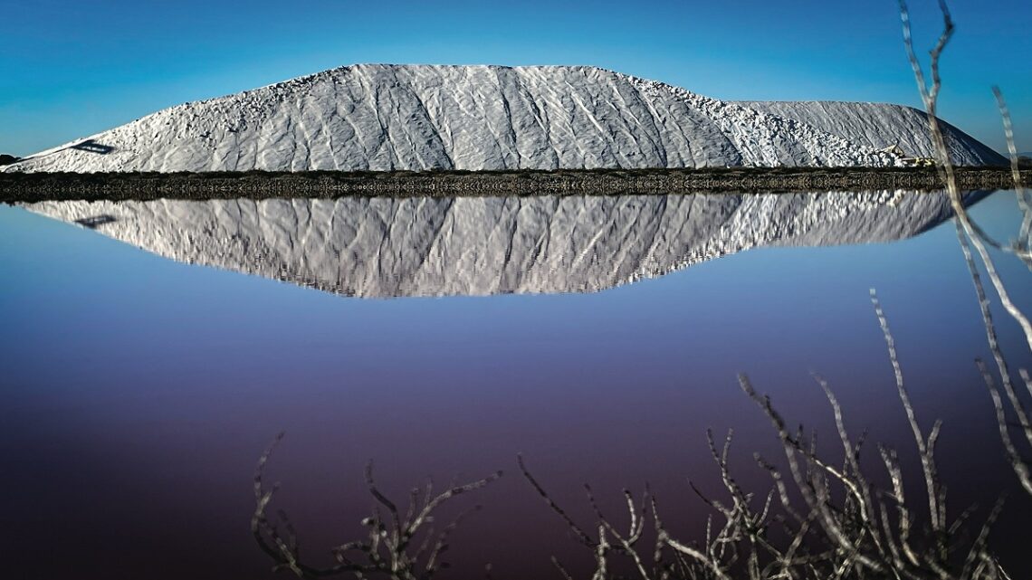 Perché le saline sono importanti per la biodiversità?