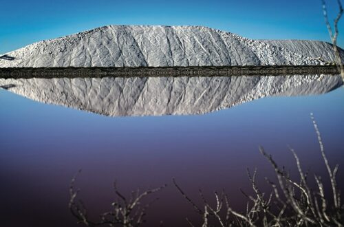 Perché le saline sono importanti per la biodiversità?