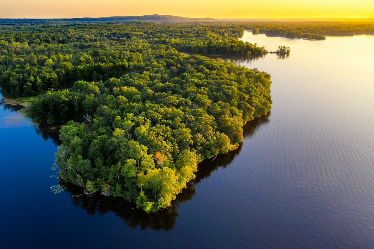 Giornata Mondiale d’Azione per l’Amazzonia