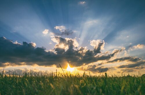 Benefici del Sole per il benessere