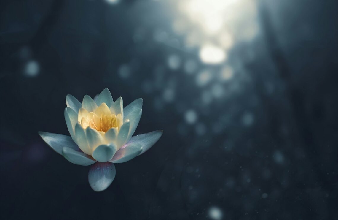 Benefici del Face Yoga più alcuni esercizi