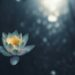 Benefici del Face Yoga più alcuni esercizi