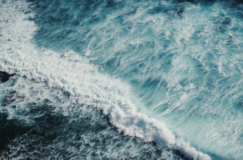 I documentari più emozionanti sugli oceani