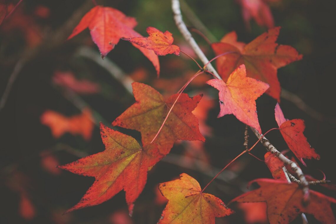 L’autunno come stagione interiore