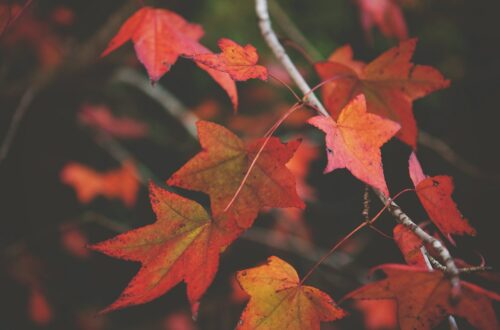 L’autunno come stagione interiore