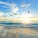 Insieme per il mare: due giornate dedicate alla pulizia delle spiagge marchigiane
