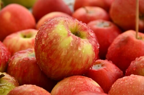 Differenza tra macronutrienti e micronutrienti