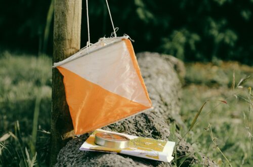 Orienteering
