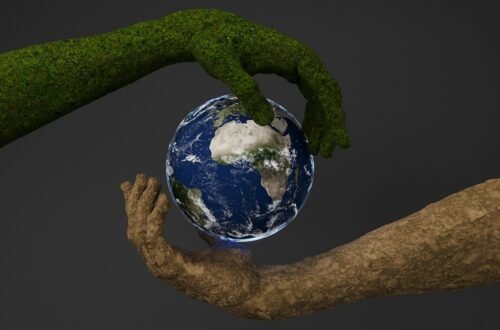 Pace e ambiente - Settimana nazionale dell’educazione alla sostenibilità