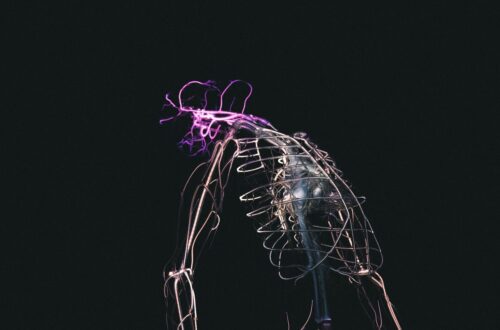 Come attivare il sistema nervoso parasimpatico per migliorare energia e benessere