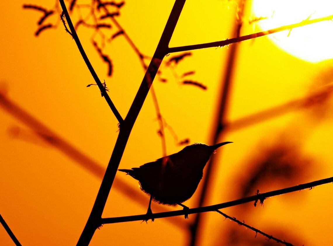 Come liberarsi definitivamente dal controllo di una madre narcisista