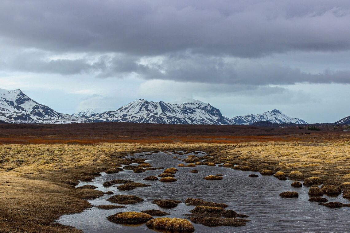 Caratteristiche e stato di conservazione della tundra