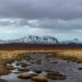 Caratteristiche e stato di conservazione della tundra