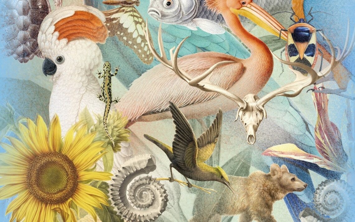 Il Museo di Storia Naturale di Parigi compie 400 anni: una mostra su Arte e Scienza celebra l’anniversario